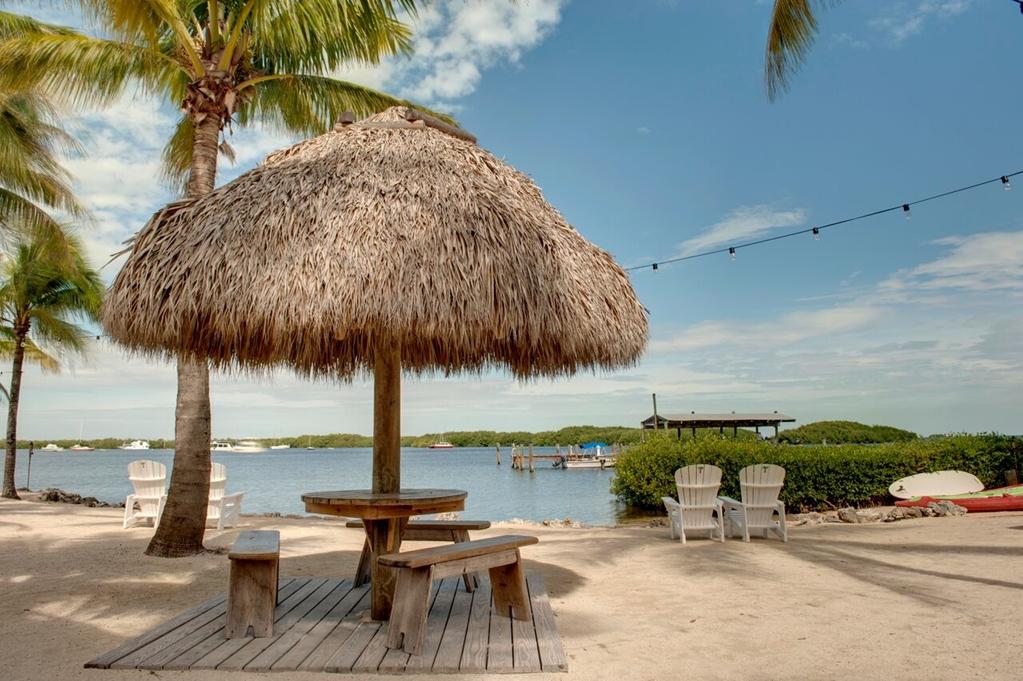 Coconut Palm Inn Tavernier Doğa fotoğraf